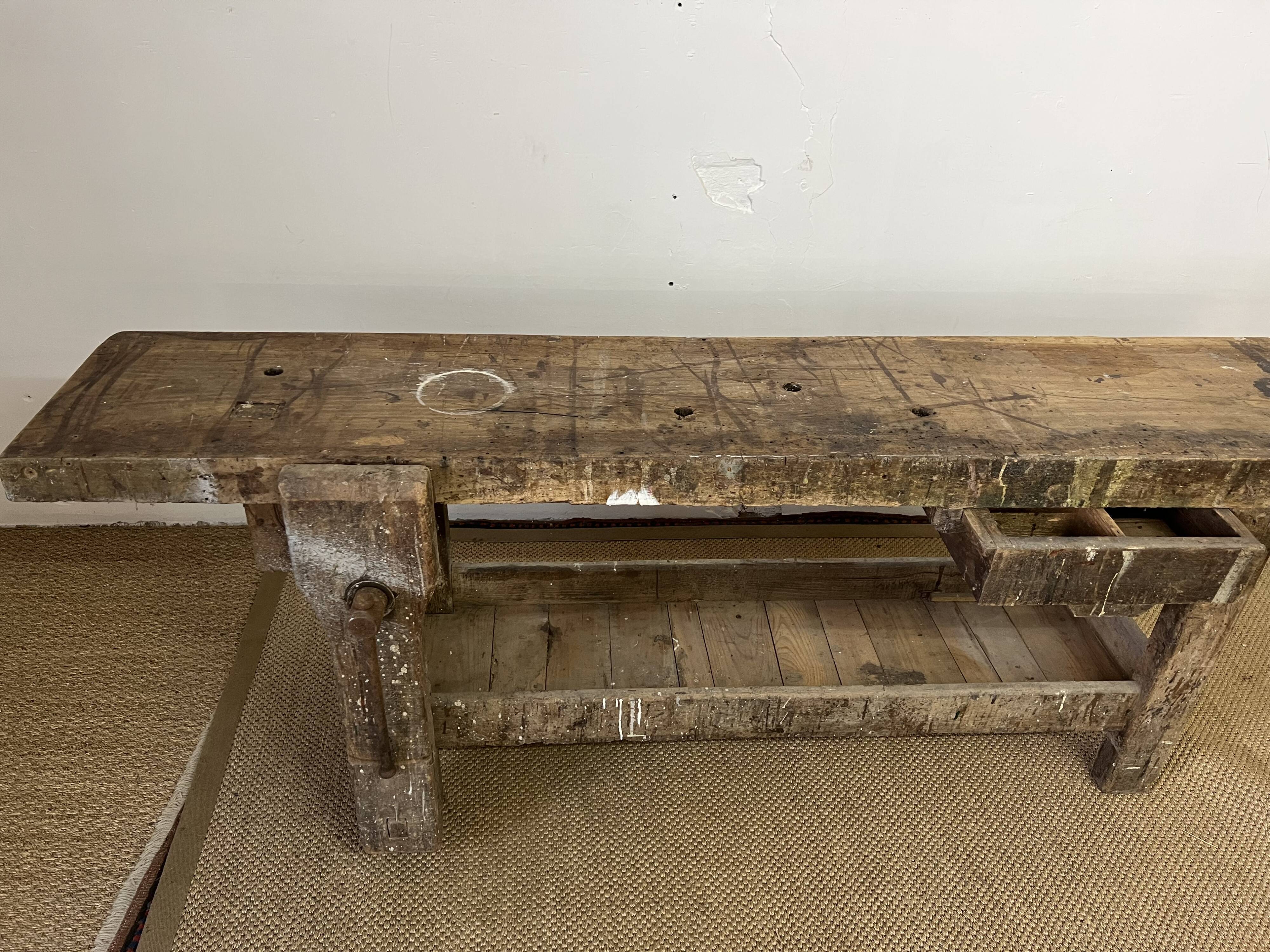 Established in old wood