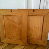 Framed botanical board