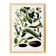 Poster about caterpillars, based on an old engraving from 1842.