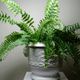 Large Haviland Limoges porcelain flowerpot / champagne bucket reproduction St Cloud