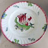 2 Longwy “Marseille” plates – Tulip decor.