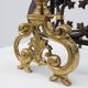 Pair of French Brass Firedogs and Wrought Iron Fireplace Grate, 20th Centur