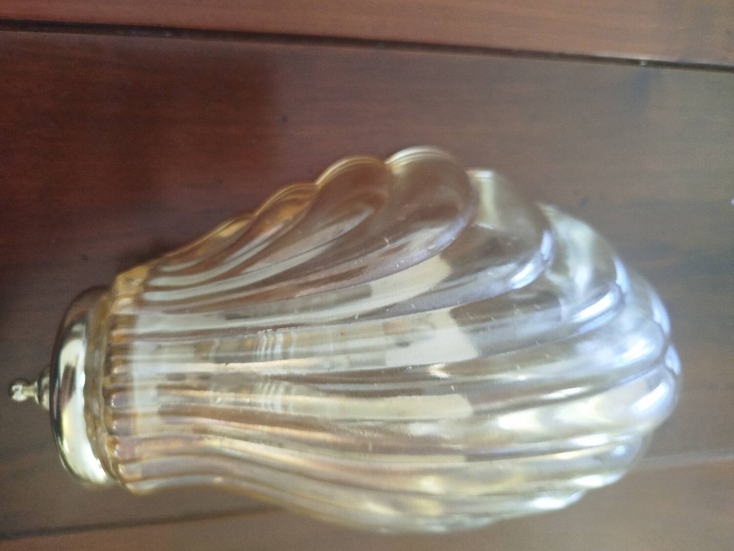 Pair of shell wall sconces – striped Italian glass – 1970