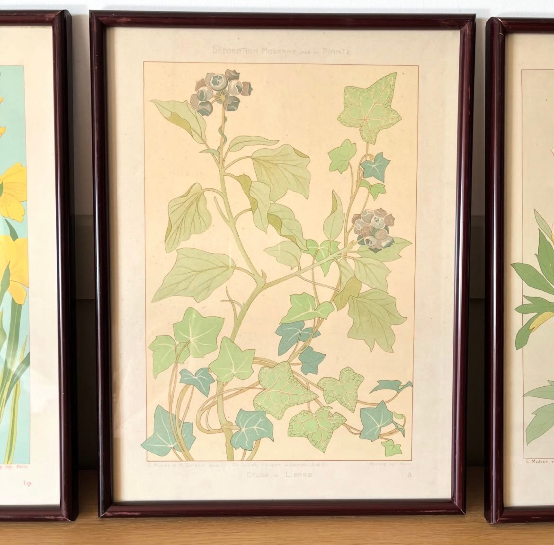 4 floral lithographs 1900