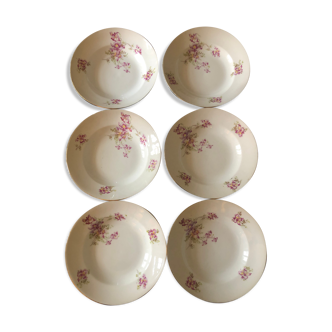 6 porcelain plates decorated orchid