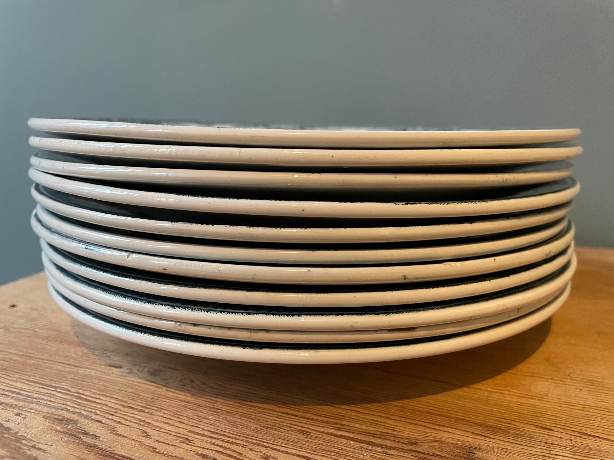 Set of 11 flat plates Terre de Fer in Earthenware of St Amand, model Lucy