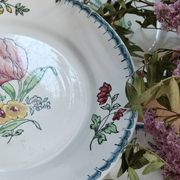 Lot de 6 assiettes à dessert Terre de fer polychromes