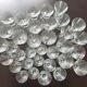 Lot de 34 magnifiques verres en cristal Baccarat