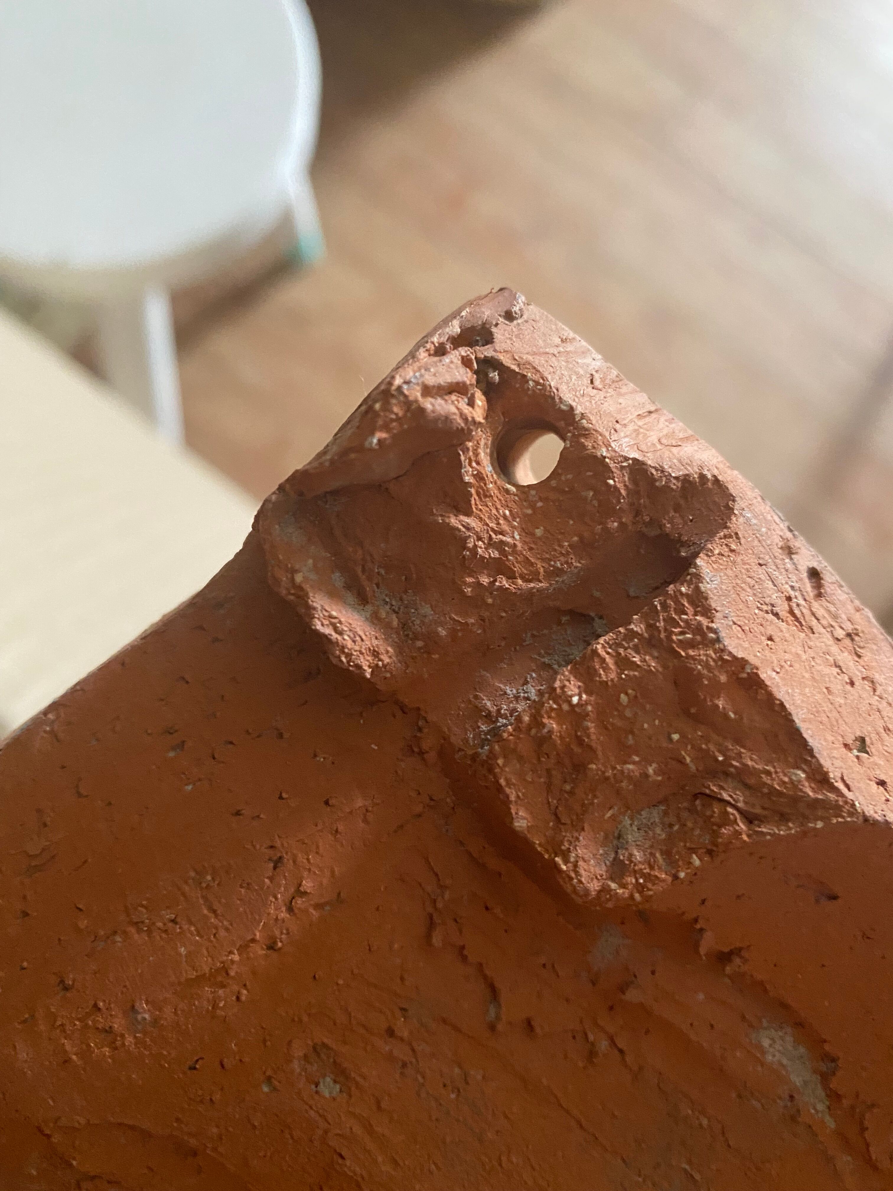 Pair of shell wall lamps