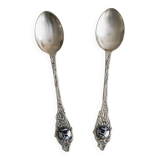 Two small metal spoons