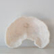 Corail blanc ancien 18 cm