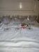 Beautiful set of seven crystal champagne glasses engraved with vine branches