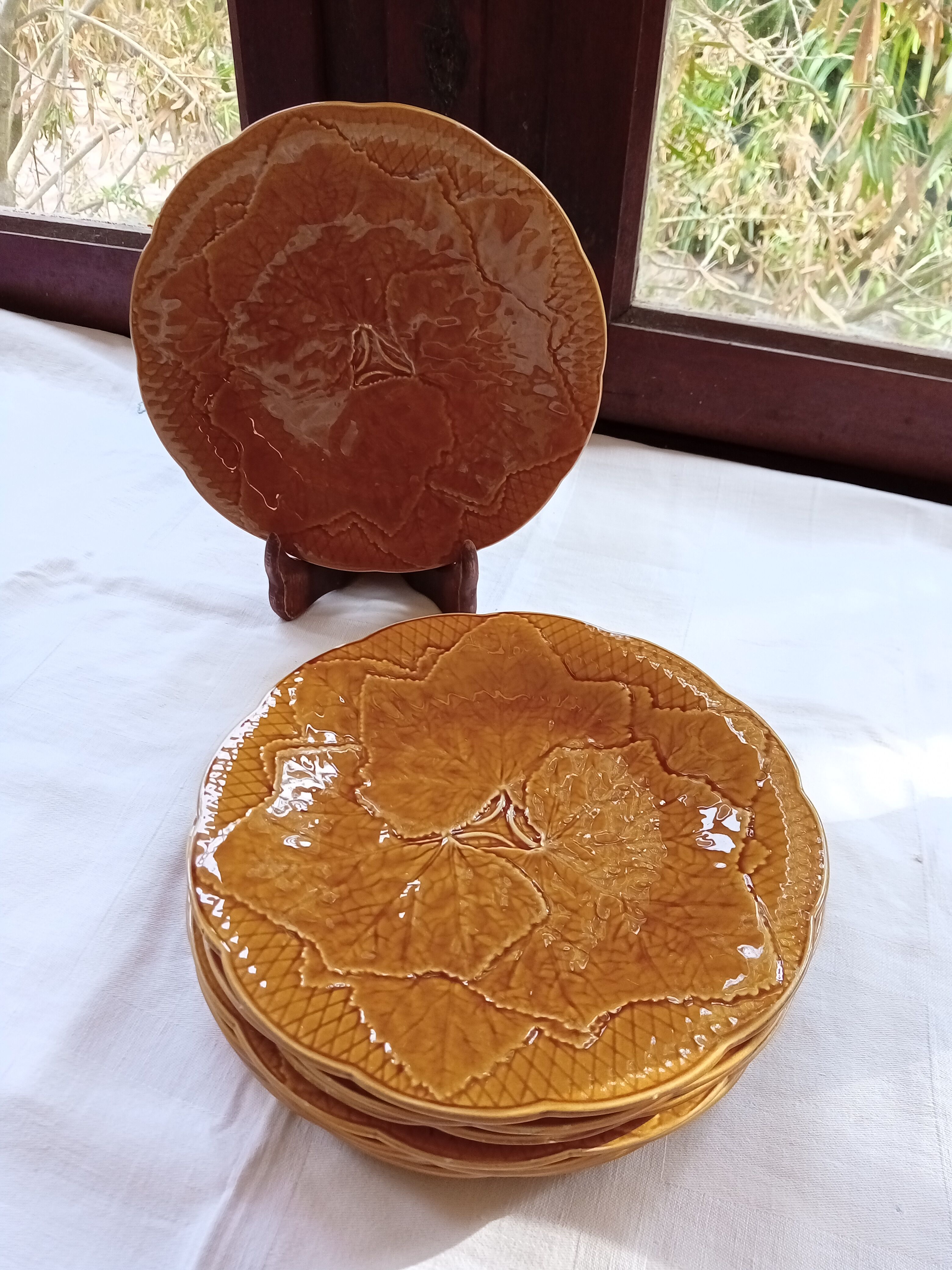8 old Gien plates