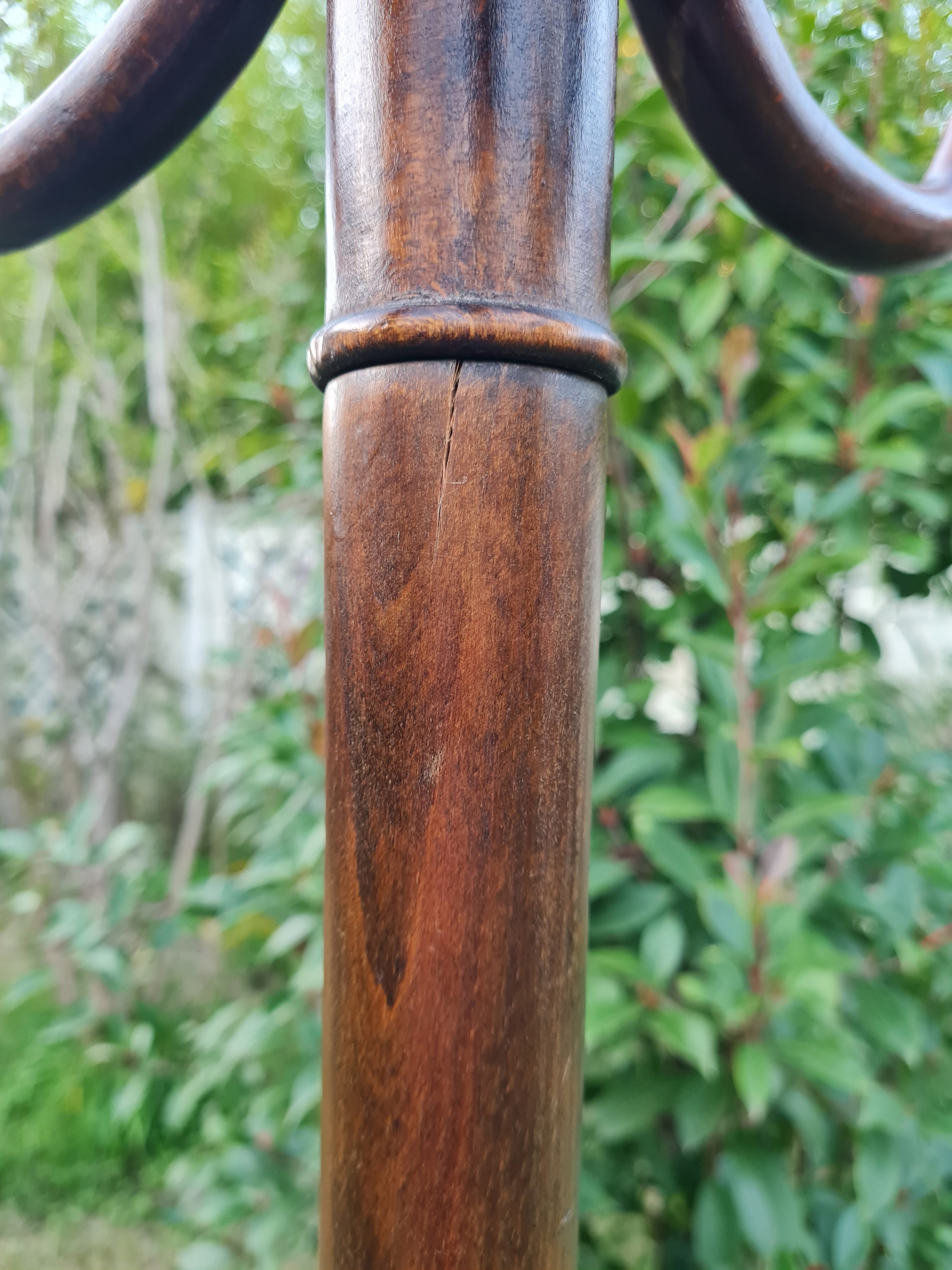 Vintage parrot coat rack