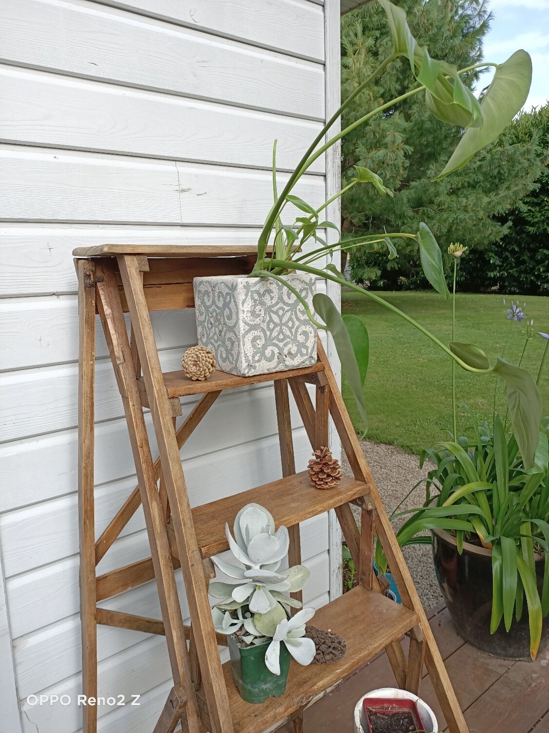 Stepladder