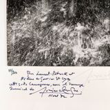 Photography, Lucien Clergue “naked woman under the waterfall”, silver print signed and dated