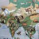 Vintage school map mdi North America-Asia Wildlife