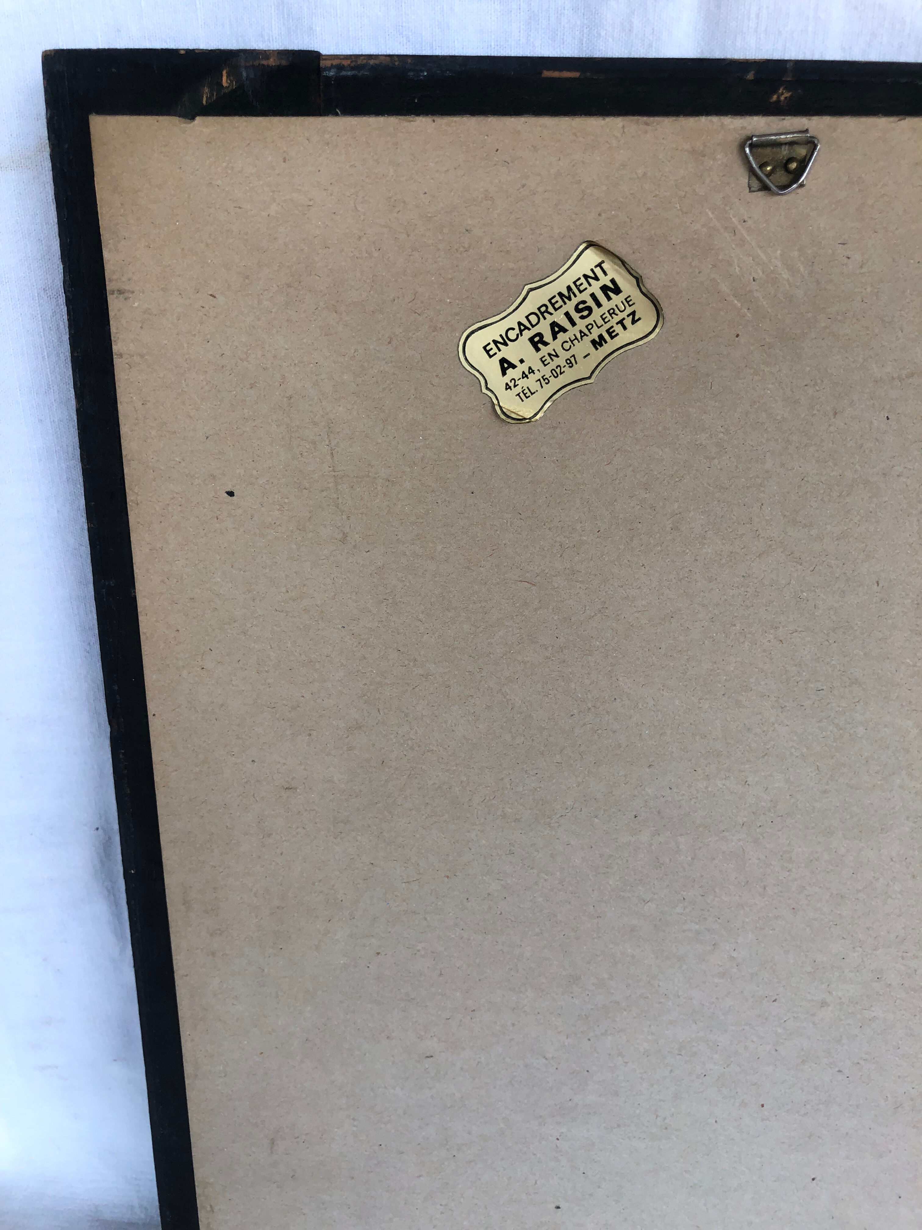 Framed botanical drawing