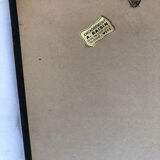 Framed botanical drawing