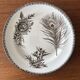 6 dessert plates iron earth sepia Grand Dépôt Earthenware