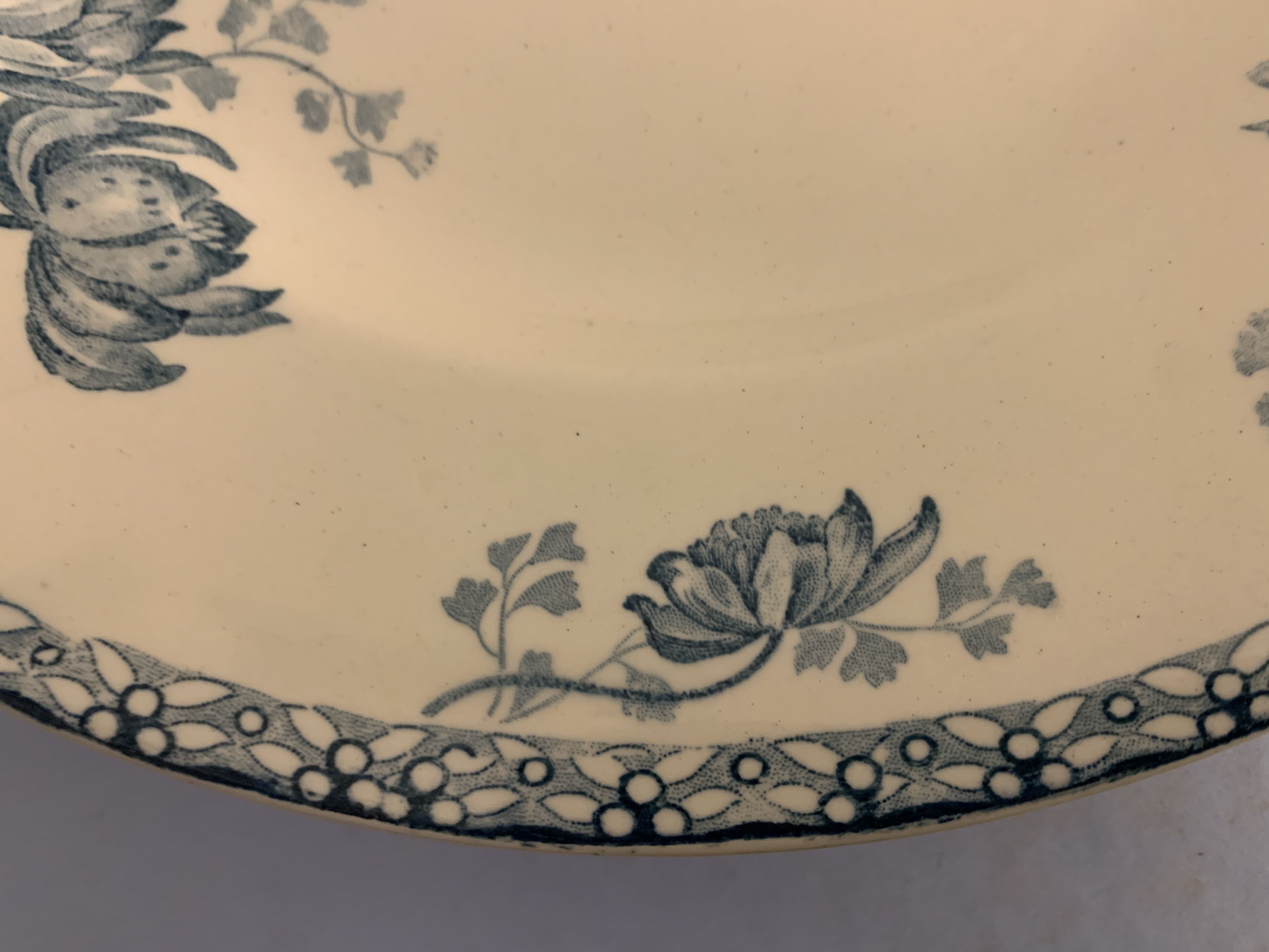 12 dessert plates and an art nouveau dish Royat de Sarreguemines