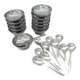 12 sorbet cups + 12 stainless steel spoons