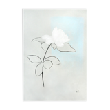 Flower "Felicity" - Art print A4