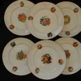 6 flat plates in orchies earthenware. fruit design.