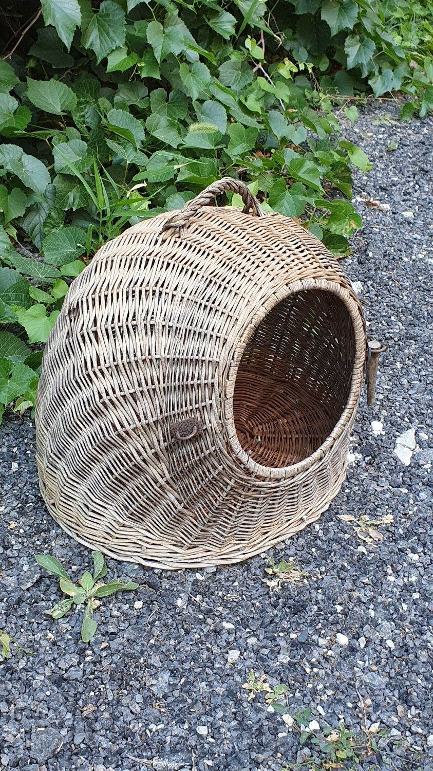 Rattan basket