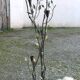 Candle holder, vintage metal chandelier