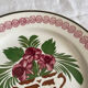 Plate XIXth Sarreguemines