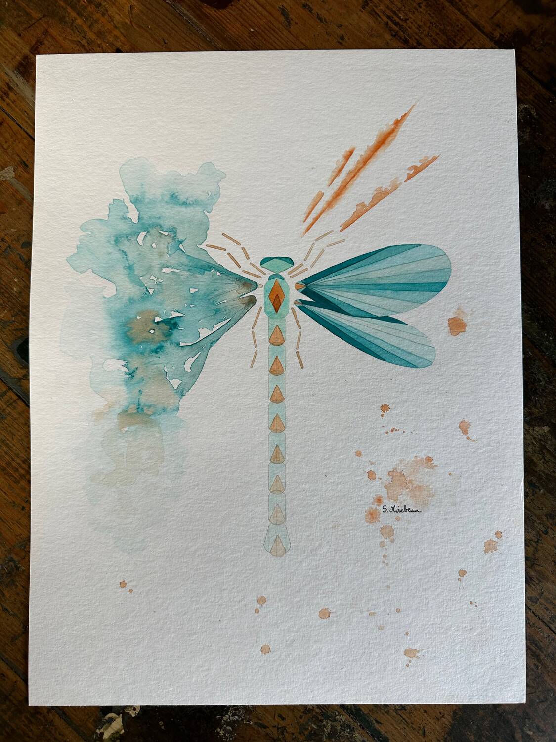 Blue dragonfly poster 30x40