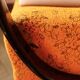 Art Deco armchair C by Jindřich Halabala – original upholstery