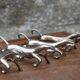 Set of 5 vintage silver metal horse knife rests