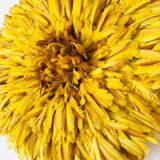 Juju hat yellow 60 cm