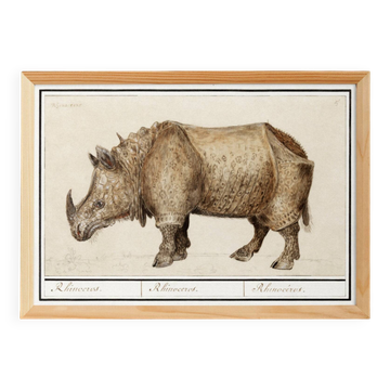 Small poster about the rhinoceros, after an old engraving from 1610.