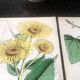 English botanical board duo, Ed 1878