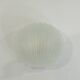 Vintage white opaline glass shell wall light – Ann wall lamp