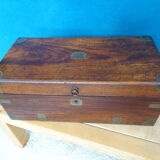 Old marine trunk in camphor tree