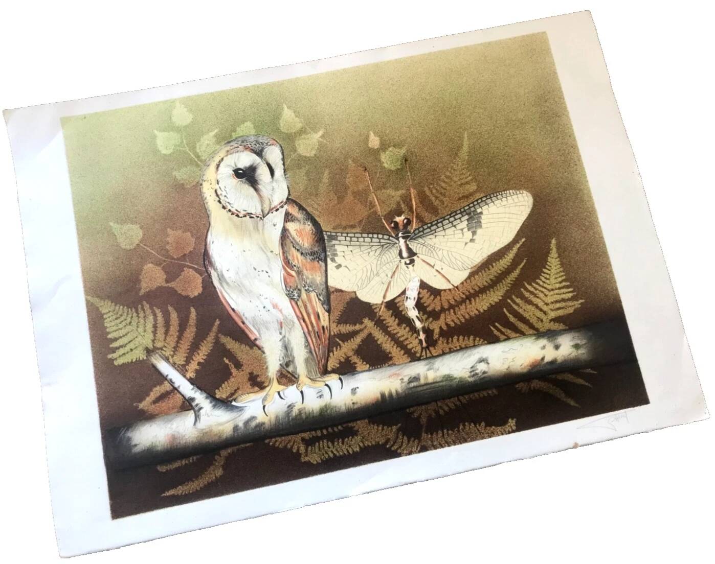 Lithograph (large format) Owl Jobin Paris Grapholith