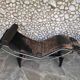 LC4 chaise longue no. 1382, Le Corbusier, Jeanneret & Perriand Cassina, 1970