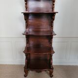 Mahogany showcase