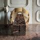 Brutalist Africanist lamp in carved wood 1950 fabric lampshade