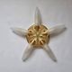 Midcentury Rare Wall or Ceiling Lamp Eglo, Flushmount, Sputnik, Austria, 1980s