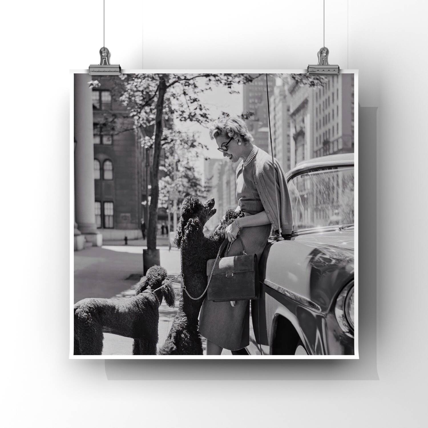 Inga Lindgren And Poodles, 1956