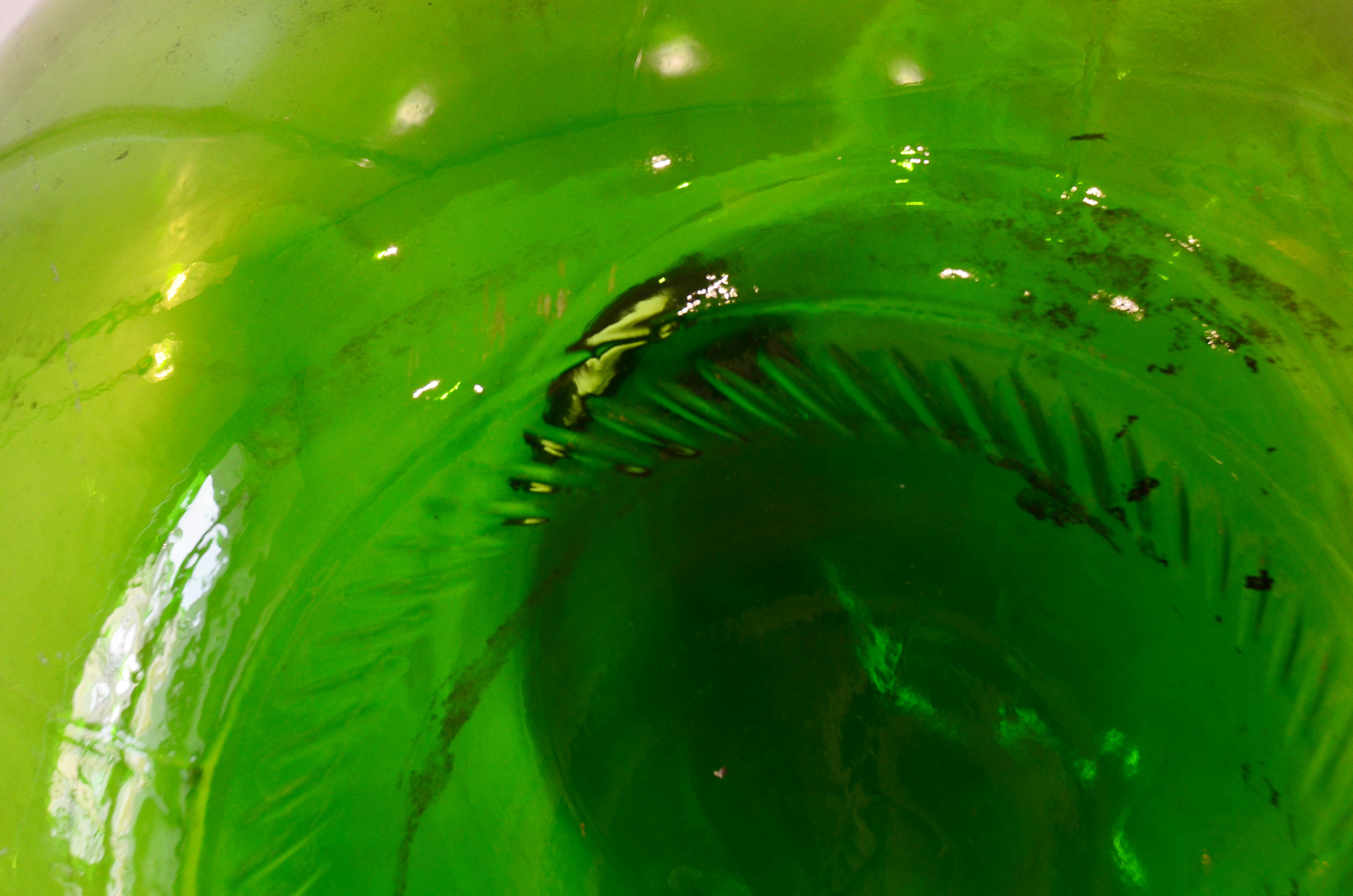 Dame-jeanne canister 54 L green glass 70s