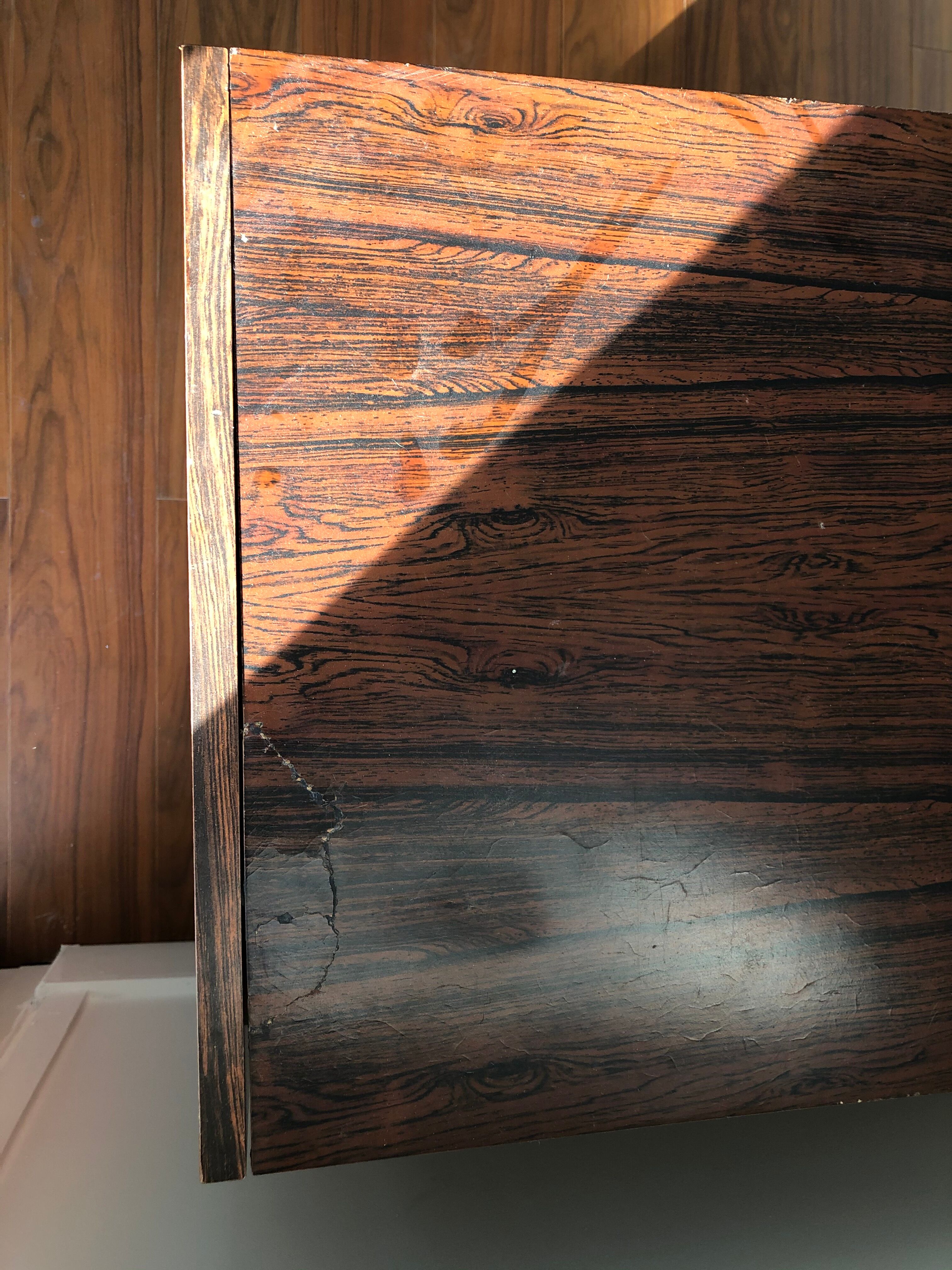 Hairdresser Raymond Loewy