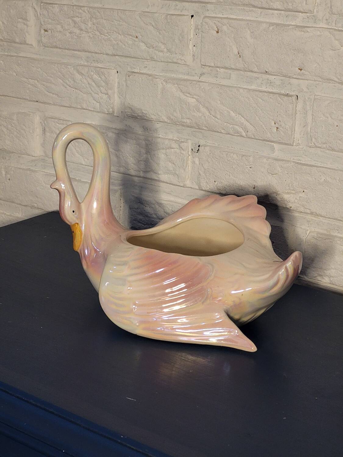 Swan plant pot