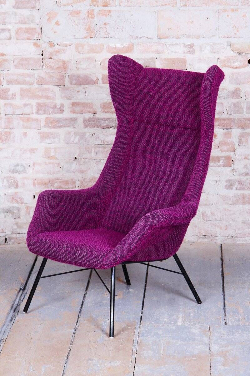 Mid-Century Wingchair in Plastic Fiber from Miroslav Navratil, Czech, 1950s