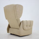 1970s Wing Chair ,Czechoslovakia